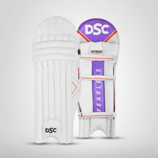 DSC Intense Attitude Batting Leg Guard