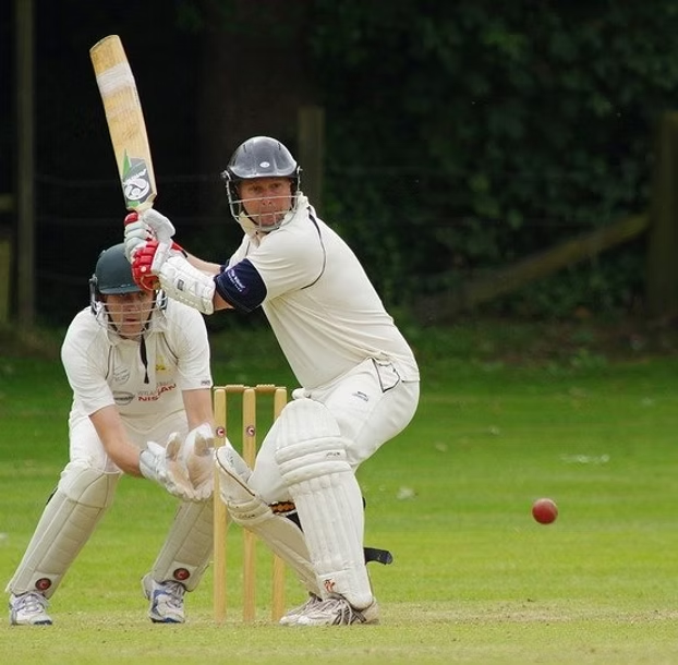 Cricket
